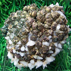 Марказит лечит селезенку